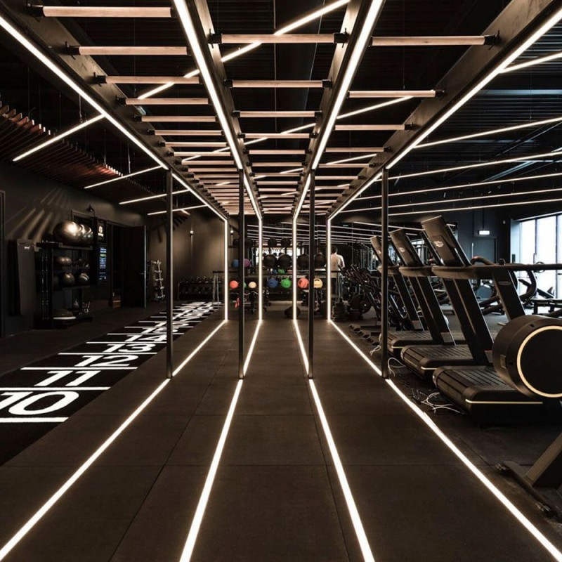 ▷ Buy LED Strips COB 24V 5m 12W/m - Flexible - IP20 Indoor