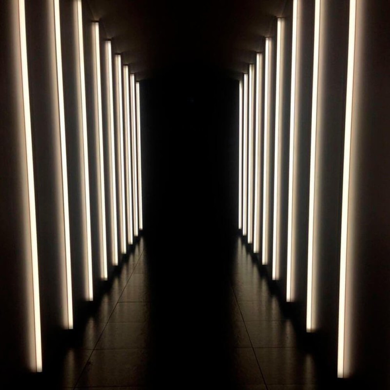 ▷ Acheter Ruban LED COB 24V 5m 12W/m - Flexible - IP20 Intérieur