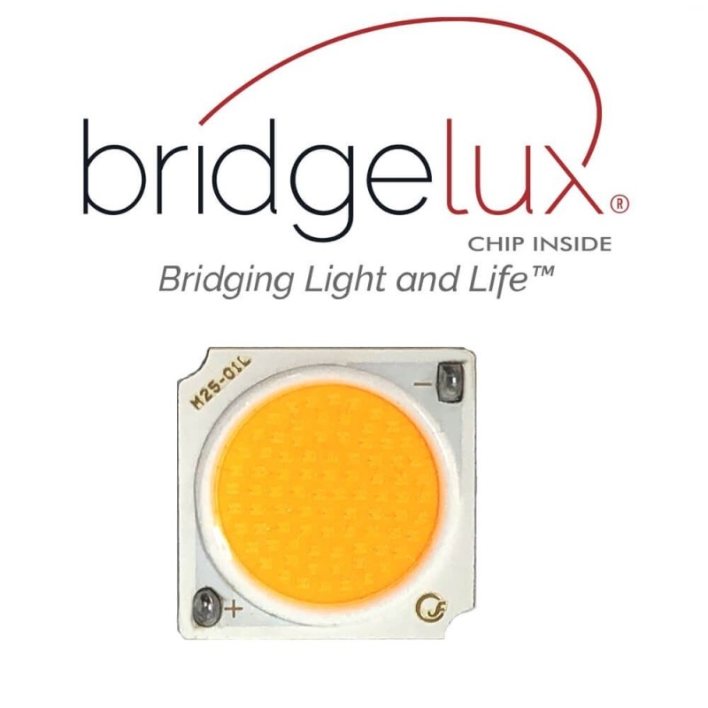 ▷ Spot Led Rail Monophasé GRAZ 40W CRI+98 | Chip Bridgelux | 3CCT