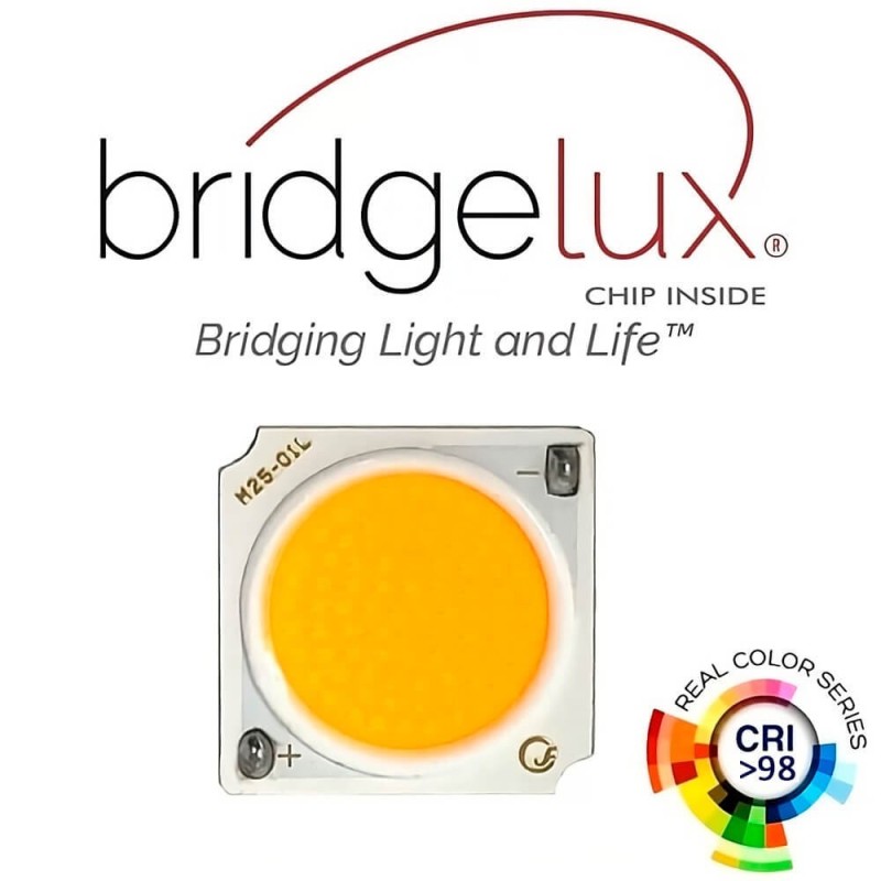 ▷ Buy Black 40W GRAZ Track Spotlight | 3CCT Light CRI+92 – Single-phase